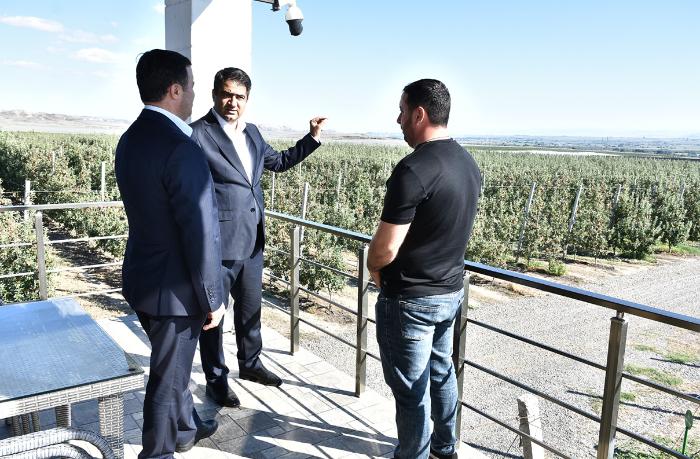 Ağstafada aqropark və iri fermer təsərrüfatlarında monitorinq aparılıb - Fotolar